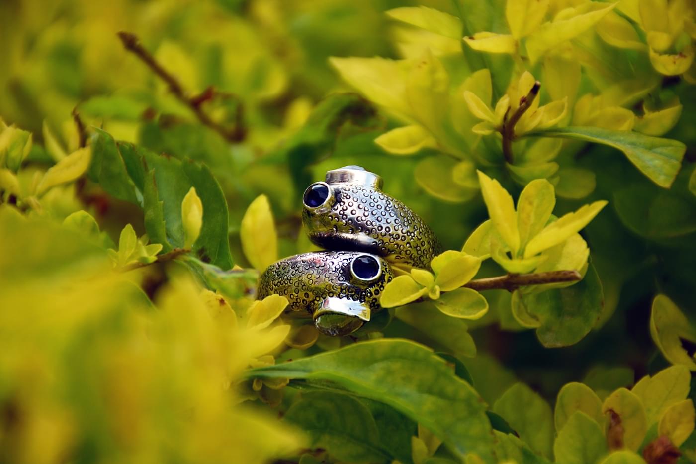 ARCH College of Design and Business Jaipur Extra Curriculars photo 30